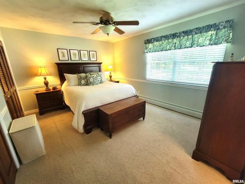 Tiny photo for 2753 N Stanford Road, Flora, IL 62839 (MLS # EB459294)