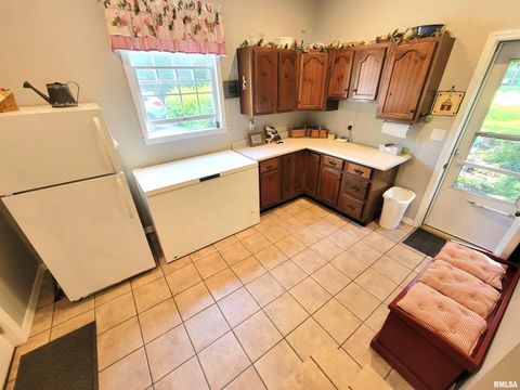 Tiny photo for 2753 N Stanford Road, Flora, IL 62839 (MLS # EB459294)