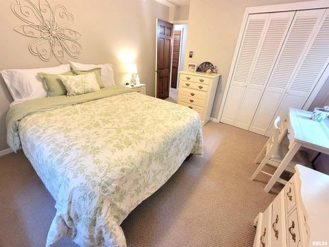 Tiny photo for 2753 N Stanford Road, Flora, IL 62839 (MLS # EB459294)