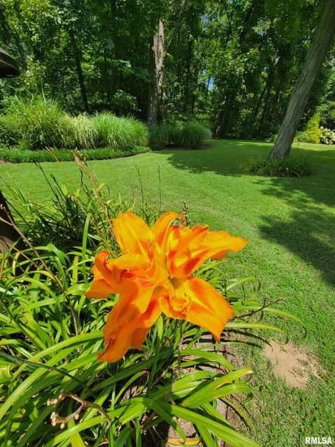 Tiny photo for 2753 N Stanford Road, Flora, IL 62839 (MLS # EB459294)