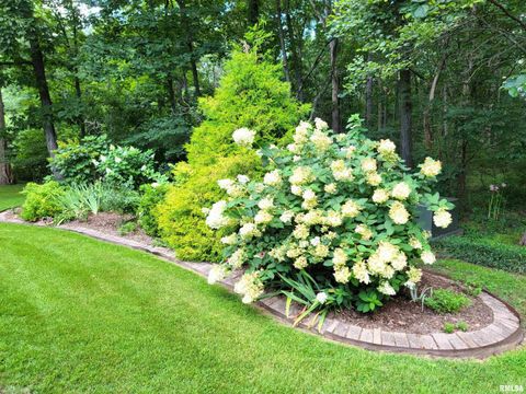 Tiny photo for 2753 N Stanford Road, Flora, IL 62839 (MLS # EB459294)