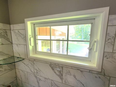 Tiny photo for 2753 N Stanford Road, Flora, IL 62839 (MLS # EB459294)