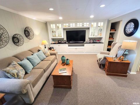 Tiny photo for 2753 N Stanford Road, Flora, IL 62839 (MLS # EB459294)