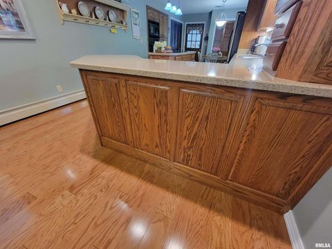 Tiny photo for 2753 N Stanford Road, Flora, IL 62839 (MLS # EB459294)