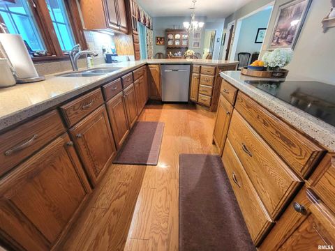 Tiny photo for 2753 N Stanford Road, Flora, IL 62839 (MLS # EB459294)