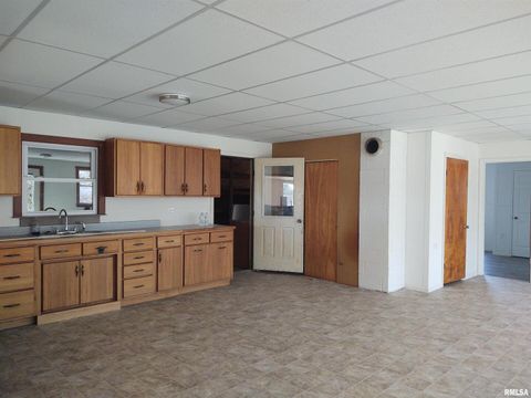 Tiny photo for 425 PIONEER Lane, Vienna, IL 62995 (MLS # EB456856)