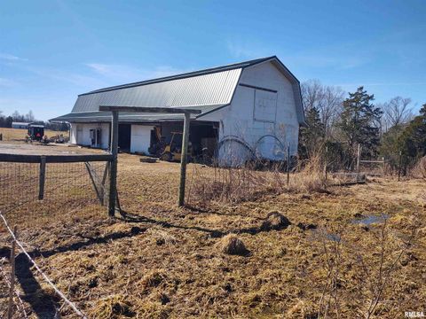 Tiny photo for 425 PIONEER Lane, Vienna, IL 62995 (MLS # EB456856)