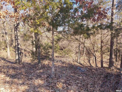 Tiny photo for 425 PIONEER Lane, Vienna, IL 62995 (MLS # EB456856)