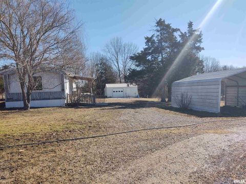 Tiny photo for 425 PIONEER Lane, Vienna, IL 62995 (MLS # EB456856)