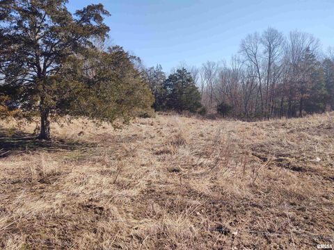 Tiny photo for 425 PIONEER Lane, Vienna, IL 62995 (MLS # EB456856)