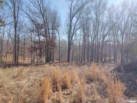 Tiny photo for 425 PIONEER Lane, Vienna, IL 62995 (MLS # EB456856)