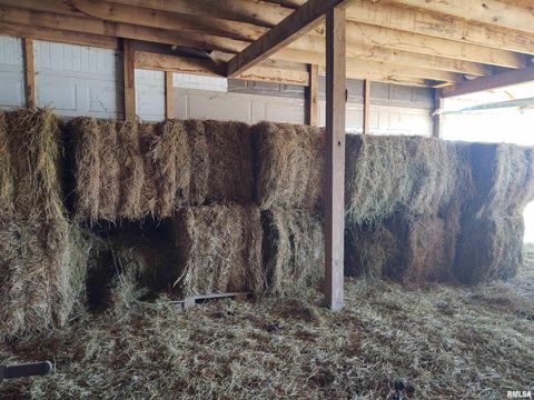 Tiny photo for 425 PIONEER Lane, Vienna, IL 62995 (MLS # EB456856)