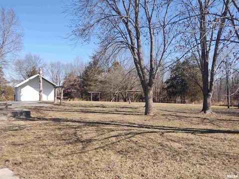 Tiny photo for 425 PIONEER Lane, Vienna, IL 62995 (MLS # EB456856)