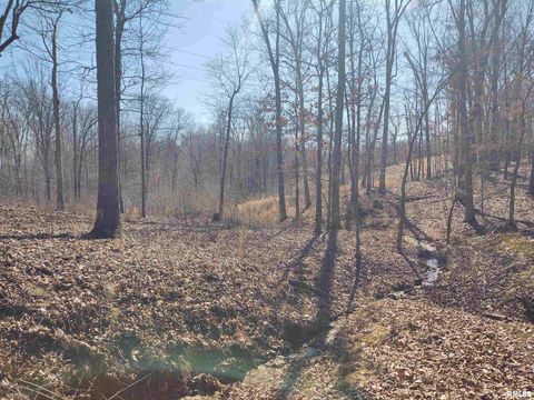 Tiny photo for 425 PIONEER Lane, Vienna, IL 62995 (MLS # EB456856)