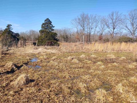 Tiny photo for 425 PIONEER Lane, Vienna, IL 62995 (MLS # EB456856)