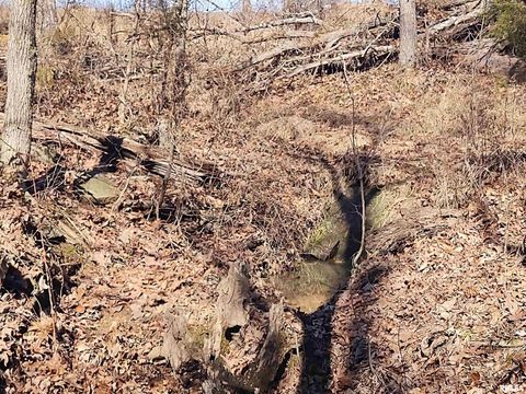 Tiny photo for 425 PIONEER Lane, Vienna, IL 62995 (MLS # EB456856)