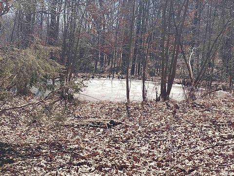 Tiny photo for 425 PIONEER Lane, Vienna, IL 62995 (MLS # EB456856)