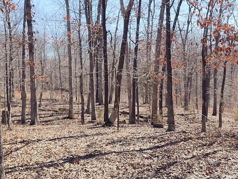 Tiny photo for 425 PIONEER Lane, Vienna, IL 62995 (MLS # EB456856)