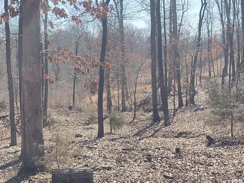 Tiny photo for 425 PIONEER Lane, Vienna, IL 62995 (MLS # EB456856)