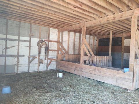 Tiny photo for 425 PIONEER Lane, Vienna, IL 62995 (MLS # EB456856)