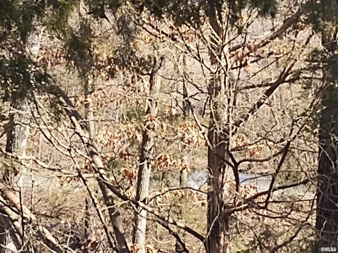 Tiny photo for 425 PIONEER Lane, Vienna, IL 62995 (MLS # EB456856)