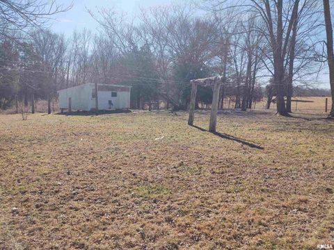 Tiny photo for 425 PIONEER Lane, Vienna, IL 62995 (MLS # EB456856)
