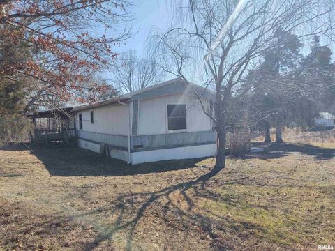 Tiny photo for 425 PIONEER Lane, Vienna, IL 62995 (MLS # EB456856)