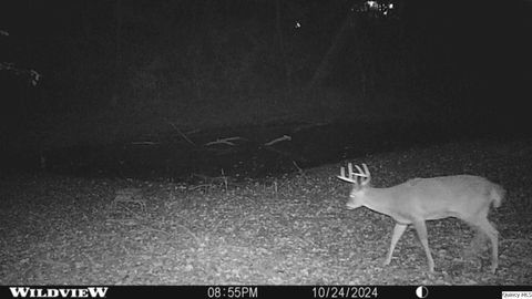 Tiny photo for 6603-6605 Gardner Expressway Expy, Quincy, IL 62305 (MLS # 12506650)