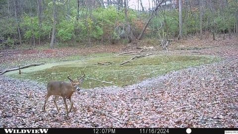 Tiny photo for 6603-6605 Gardner Expressway Expy, Quincy, IL 62305 (MLS # 12506650)