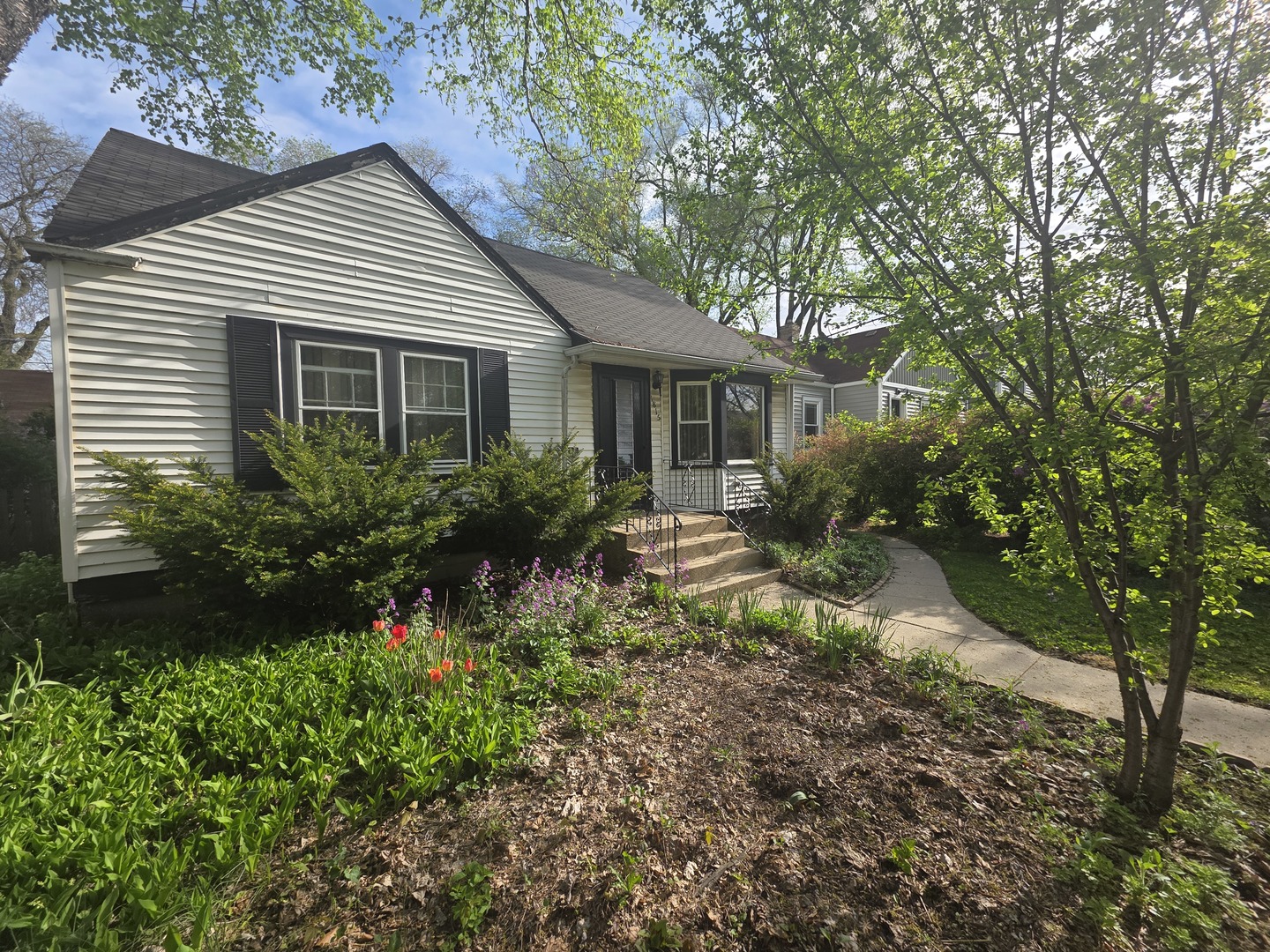 1815 Cleveland Street