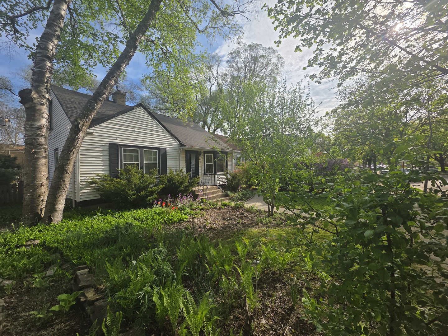 1815 Cleveland Street