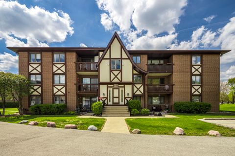 Photo of Palos Hills, IL 60465 (MLS # 12627833)