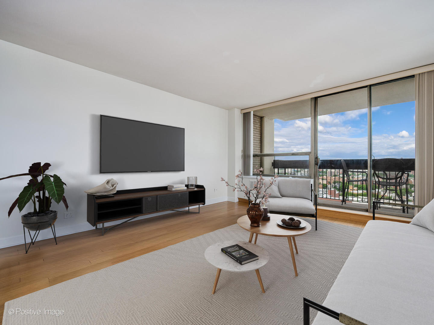 1455 N Sandburg Terrace 2009