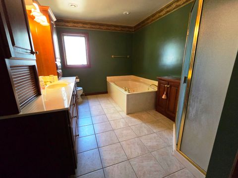 Tiny photo for 7691 N 3000 Road, Chatsworth, IL 60921 (MLS # 12493890)