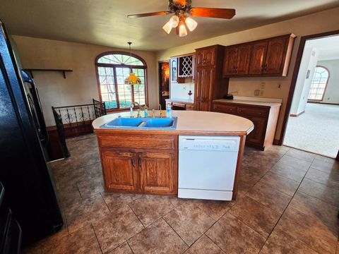 Tiny photo for 7691 N 3000 Road, Chatsworth, IL 60921 (MLS # 12493890)