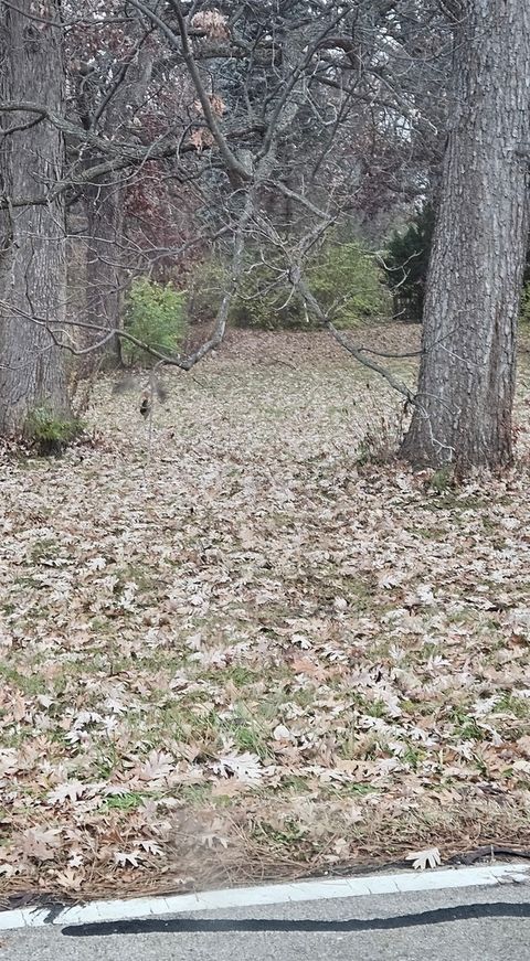 0N636 Sunset Avenue West Chicago IL 60185