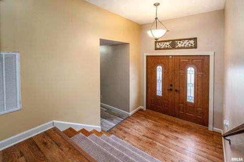 Tiny photo for 9784 Highway 127 St, Murphysboro, IL 62966 (MLS # EB460450)