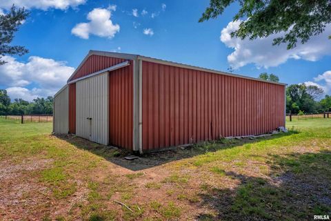 Tiny photo for 9784 Highway 127 St, Murphysboro, IL 62966 (MLS # EB460450)