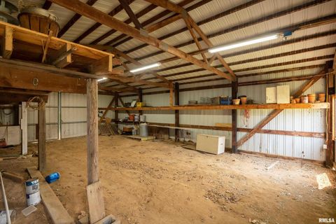 Tiny photo for 9784 Highway 127 St, Murphysboro, IL 62966 (MLS # EB460450)