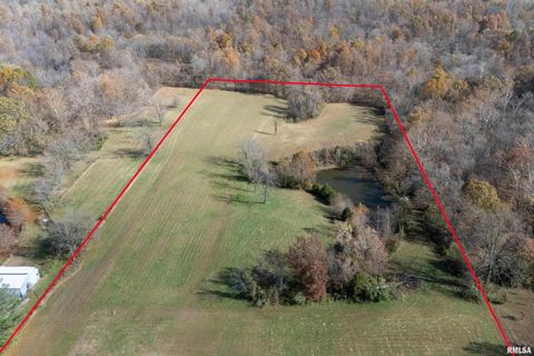 Tiny photo for 9784 Highway 127 St, Murphysboro, IL 62966 (MLS # EB460450)