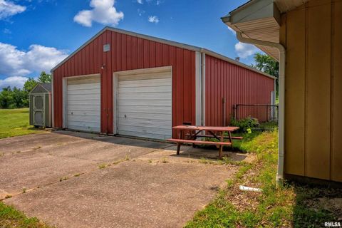 Tiny photo for 9784 Highway 127 St, Murphysboro, IL 62966 (MLS # EB460450)