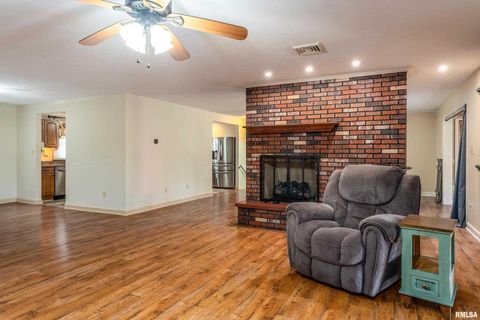 Tiny photo for 9784 Highway 127 St, Murphysboro, IL 62966 (MLS # EB460450)