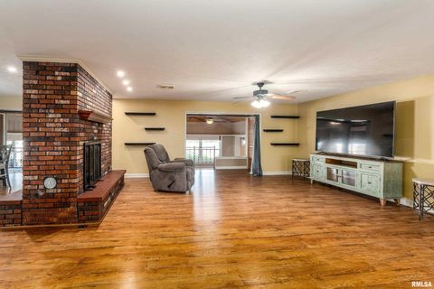 Tiny photo for 9784 Highway 127 St, Murphysboro, IL 62966 (MLS # EB460450)