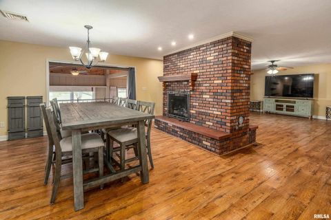 Tiny photo for 9784 Highway 127 St, Murphysboro, IL 62966 (MLS # EB460450)