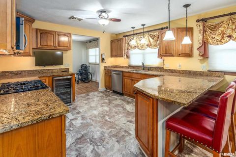 Tiny photo for 9784 Highway 127 St, Murphysboro, IL 62966 (MLS # EB460450)