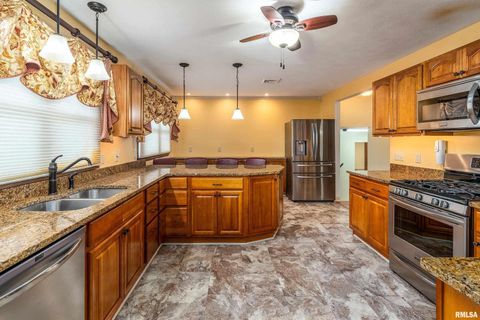 Tiny photo for 9784 Highway 127 St, Murphysboro, IL 62966 (MLS # EB460450)