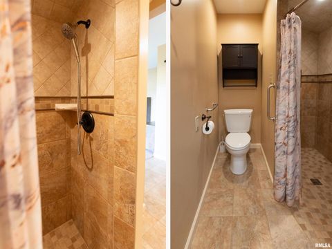 Tiny photo for 9784 Highway 127 St, Murphysboro, IL 62966 (MLS # EB460450)