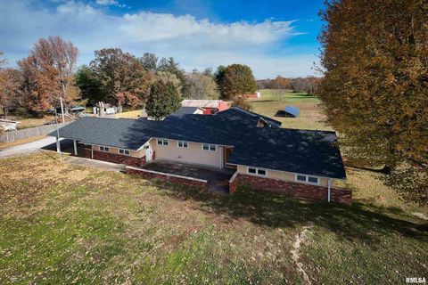 Tiny photo for 9784 Highway 127 St, Murphysboro, IL 62966 (MLS # EB460450)