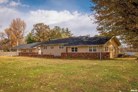 Tiny photo for 9784 Highway 127 St, Murphysboro, IL 62966 (MLS # EB460450)