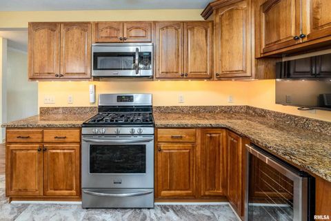 Tiny photo for 9784 Highway 127 St, Murphysboro, IL 62966 (MLS # EB460450)